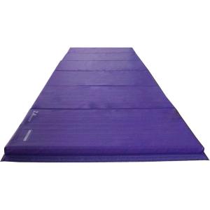 Z-Athletic Folding Panel Mats for Gymnastics, Martial Arts, Tumbling (4ft x 10ft x 2in, Blue)